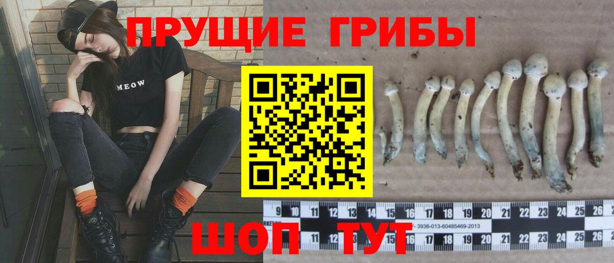 Астрахань  Псилоцибиновые грибы мухоморы  Вход с VPN  Псилоцибиновые грибы GOLDEN TEACHER 